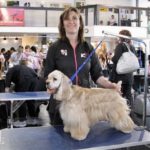 My very first grooming competition with Quinn