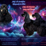Jesselle's Musical Litter
