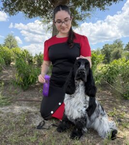English Cocker Spaniel Woody and a Junior Handler with an AKC Conformation ribbon