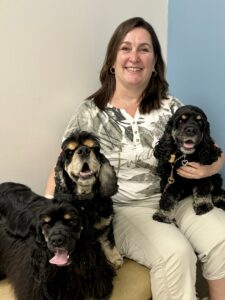 3 Jesselle American cockers at the canine ophthamologist